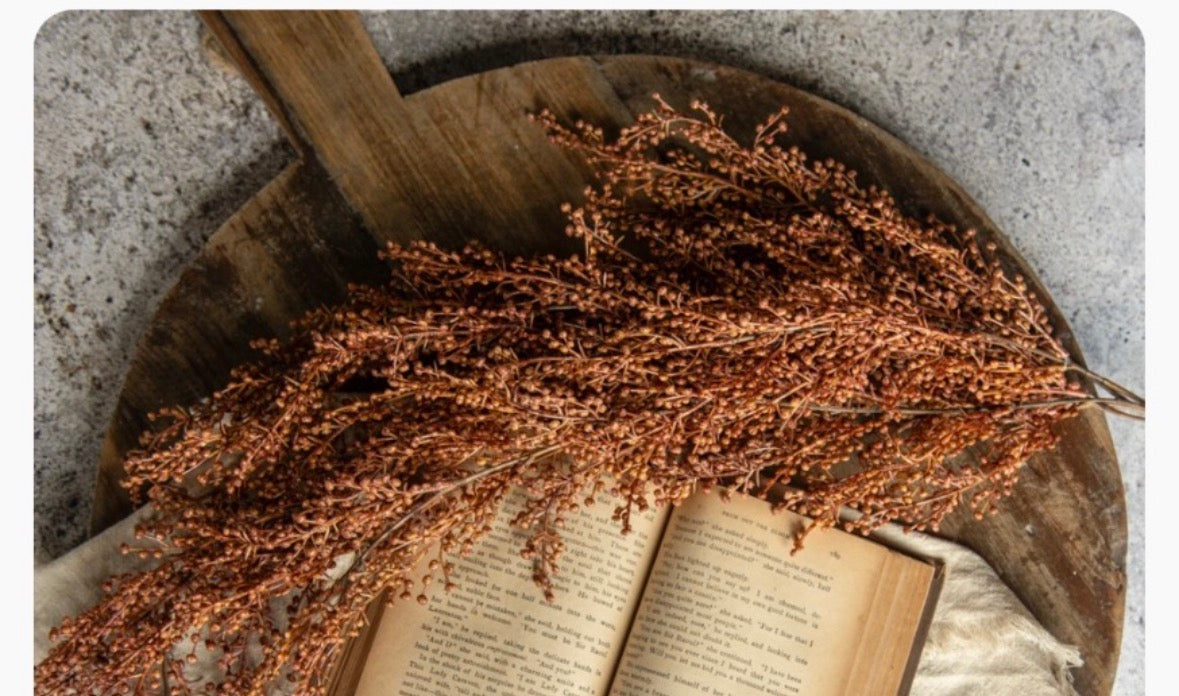 Rust Berry Bush